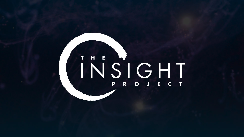 theinsightproject.com